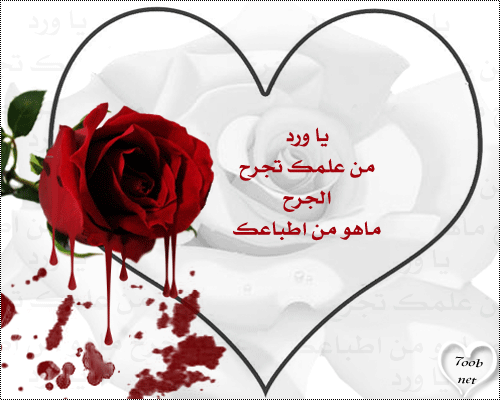 c vrai koulchi t3alam yjerah heta les fleurs héhé