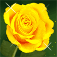 tjr j'adore les fleurs